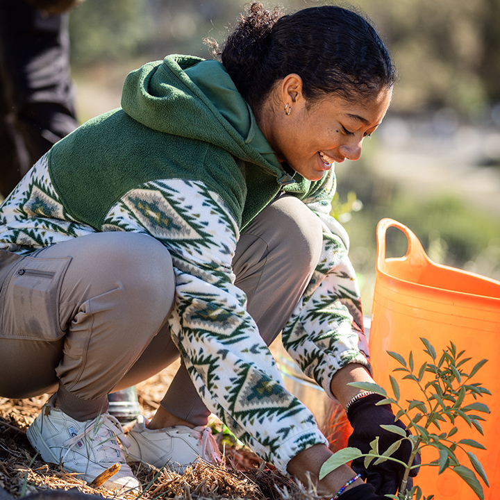 A student plants a small bush.